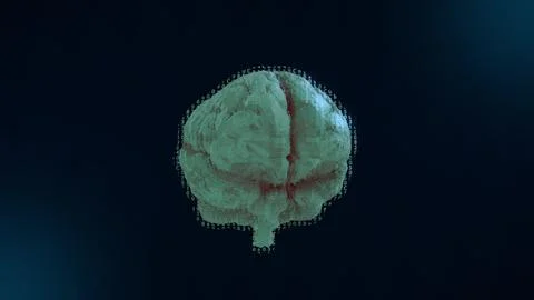 3D rotating brain model with binar cod. Motion graphic of digital brain. De.. Stock Illustration