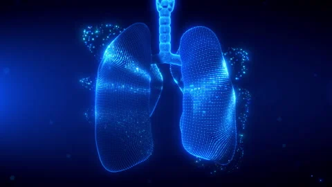 3D Rotating Human Lungs with Digital Scanning Effect Stock Footage 292922640