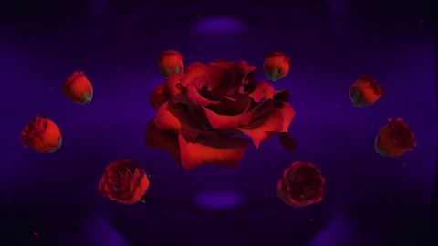 3D Rotating Red Roses Stockbeeldmateriaal 340503186