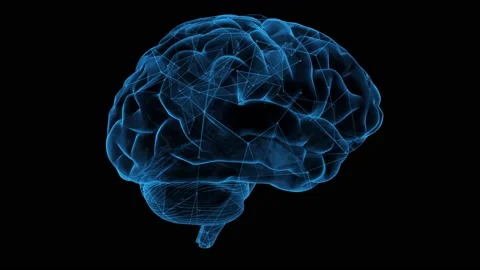 3D rotating Transparent Blue Wireframe Rotating Brain, 4k looping animation 스톡 동영상 205163671