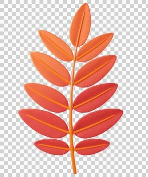 3D Rowan leaf icon in orange red color イラスト素材
