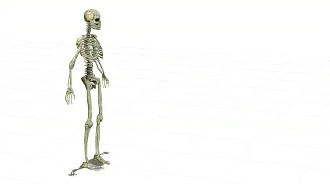 3D running skeleton Stock Footage 142142