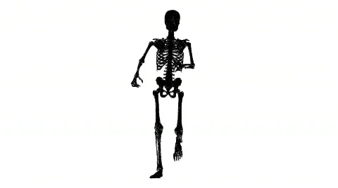 3D running skeleton Stock Footage 641629
