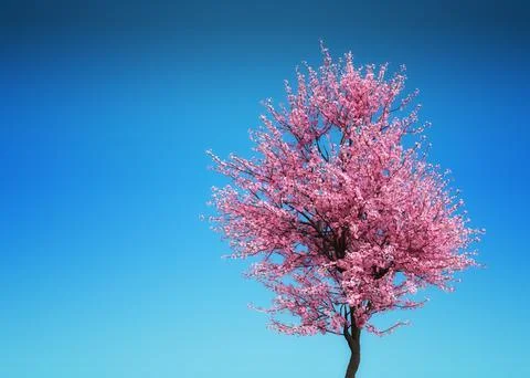 3D Sakura branches over blue Stock Illustration