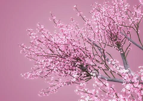 3D Sakura branches in pink Illustrazione stock