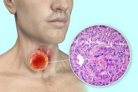 A 3D scientific illustration showcasing a man with transparent skin, reveal.. Stock Illustration