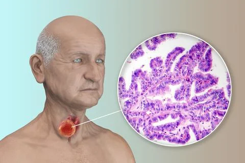 A 3D scientific illustration showcasing a man with transparent skin, reveal.. Stock Illustration