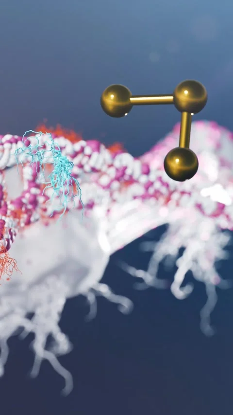 3D Scientific Visualization of Gold Nanoparticles Capturing Circulating Tumor Video stock 330159487
