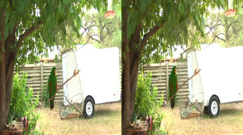 3d scooter outside Stock Footage 37730931
