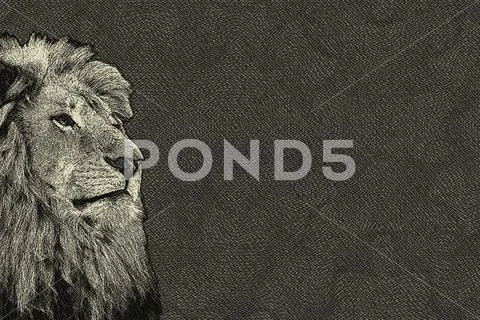 3d sepia toned isolated lion face card Stock Illustration