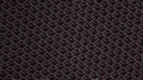 3D shining bright dots set colorful line wave motion, on black background Video stock 305942244