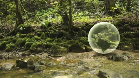 3d shiny Earth globe in the woods with river 스톡 동영상 229486285
