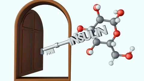 A 3d silver "INSULIN" key opening a cell door amidst floating glucose molecules. Stock-Illustration