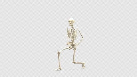 3D Skeletal System Forward Lunge Exercise Perspective View Isolated Alpha Stock Footage 343821051