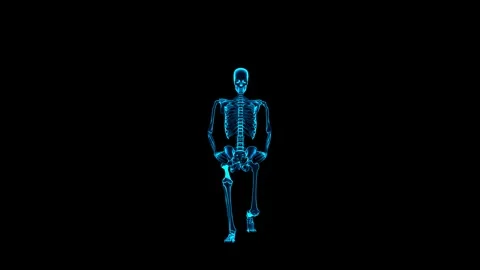 3D Skeletal System Forward Lunge Exercise 180 Rot View Hologram HUD Stock Footage 343860947
