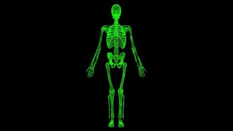 3D skeleton on black bg. Object dissolved green flickering particles. Busines Ilustração Stock