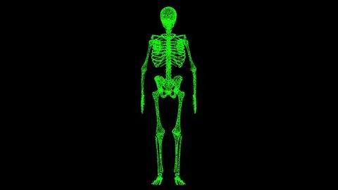 3D skeleton on black bg. Object dissolved green flickering particles. Busines Stock Illustration