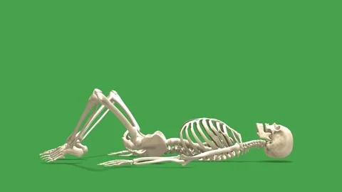 3D Skeleton System Supine Butterfly Stretch Side View Green Screen Stock Footage 340128474
