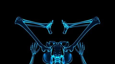 3D Skeleton System Supine Butterfly Stretch Front View Hologram Stock Footage 340128522