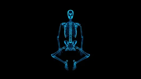 3D Skeleton System Supine Butterfly Stretch Top View Hologram Stock Footage 340128548
