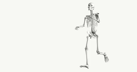 3D skeleton in white on a white background running in loop Stock Footage 102709864