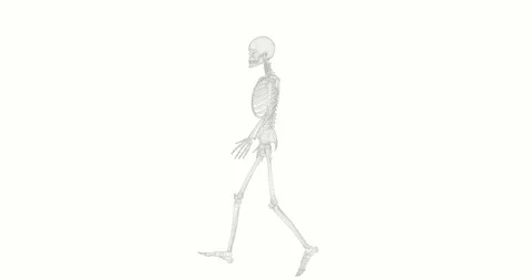 3D skeleton in white on a white background running in loop.  Stock Footage 103597704