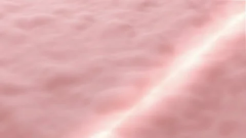 3D skin cell visuals. vitamin through the skin layer repair wrinkles anti aging Vídeo Stock 334589620