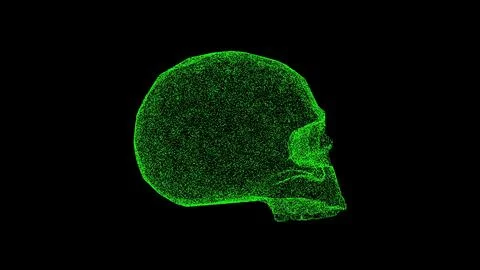 3D skull on black bg. Object dissolved green flickering particles. Business.. Stockillustratie