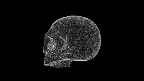 3D skull on black bg. Object dissolved white flickering particles. Business b Ilustração Stock