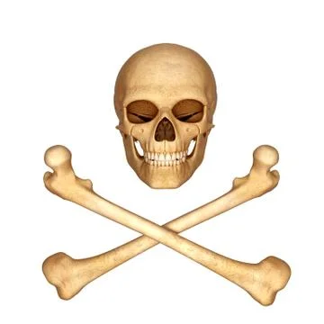 3d skull with bones Stock Illustration