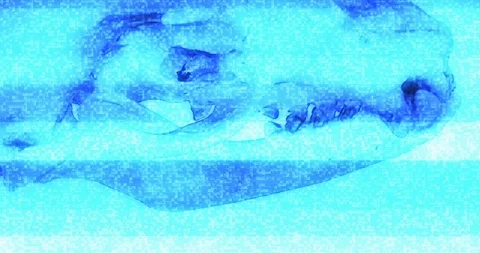 3d skull footage with noise effect.  Stock Footage 122818090