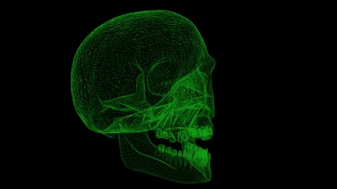 3D Skull Wireframe Rotation on Alpha Transparent BG 스톡 동영상 115841419