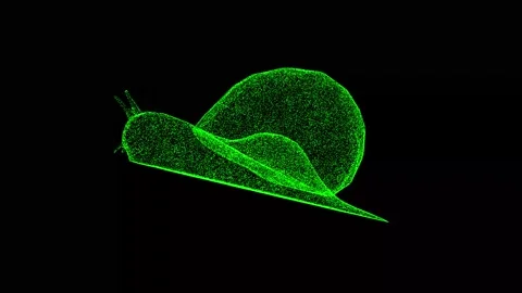 3D Snail rotates on black background. Fa... | Stock Video | Pond5