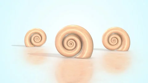 3D Snail Shells on a Reflective Floor. Set of Shells 3D Animation. 4K Stock Footage 295118558