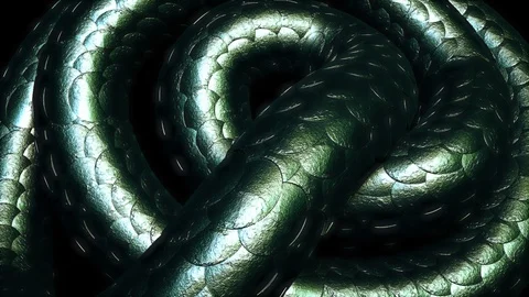 3d Snake Skin Patten Slithering Stock Footage 128435134