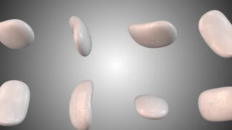 3D Soap Bars Falling on a Grey Background. Soap Bars 3D. White Color 3D Soap. 4K Stock Footage 281850572