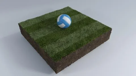 3D Soccer ball of grass patch Ilustración de archivo