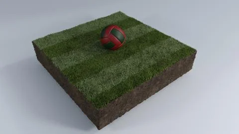 3D Soccer ball of grass patch Ilustración de archivo