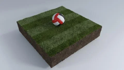 3D Soccer ball of grass patch Ilustración de archivo