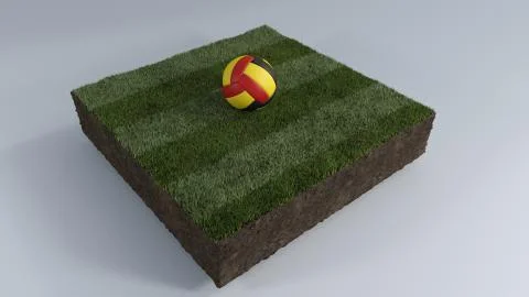 3D Soccer ball of grass patch Stock Illustration