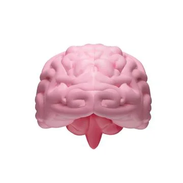 3D soft pink human brain front Stock Illustration