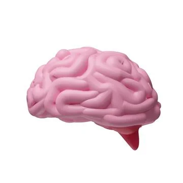 3D soft pink human brain side Stock Illustration