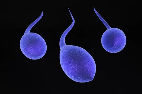 3d sperm Иллюстрация