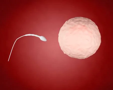 3D Spermatozoons going to the Ovule. Stock Illustration