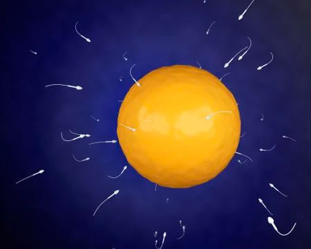 3D Spermatozoons going to the Ovule. Stock Illustration
