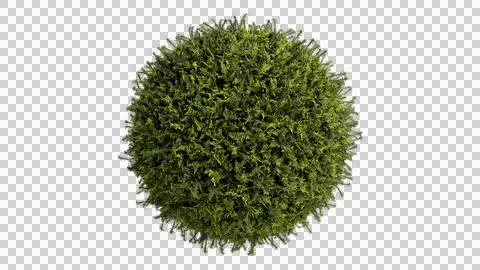 3D sphere ball grass. Stock Illustration