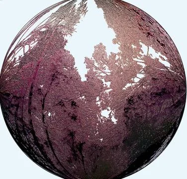 3D sphere of trees - artistic Foto stock