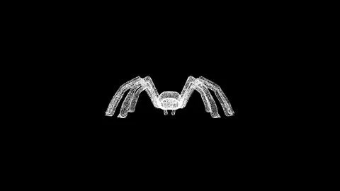 3D spider on black bg. Object dissolved white flickering particles. Business  Stock Illustration