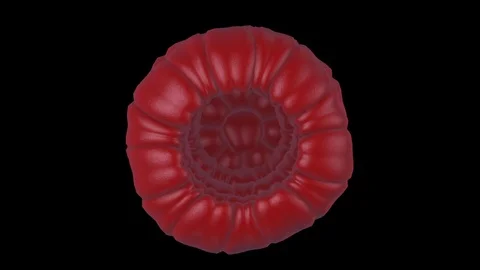 3D spinning raspberry on black background Stock Footage 110780638