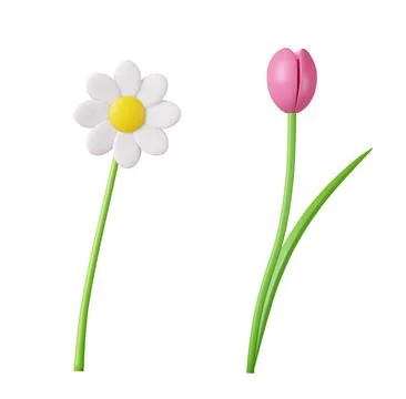 3d Spring flowers. Chamomile, tulip Illustrazione stock